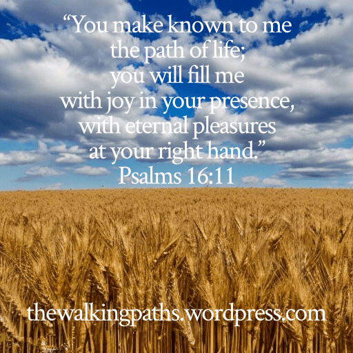 Verse Image, Psalm 16:11, wheat field in background, blue sky